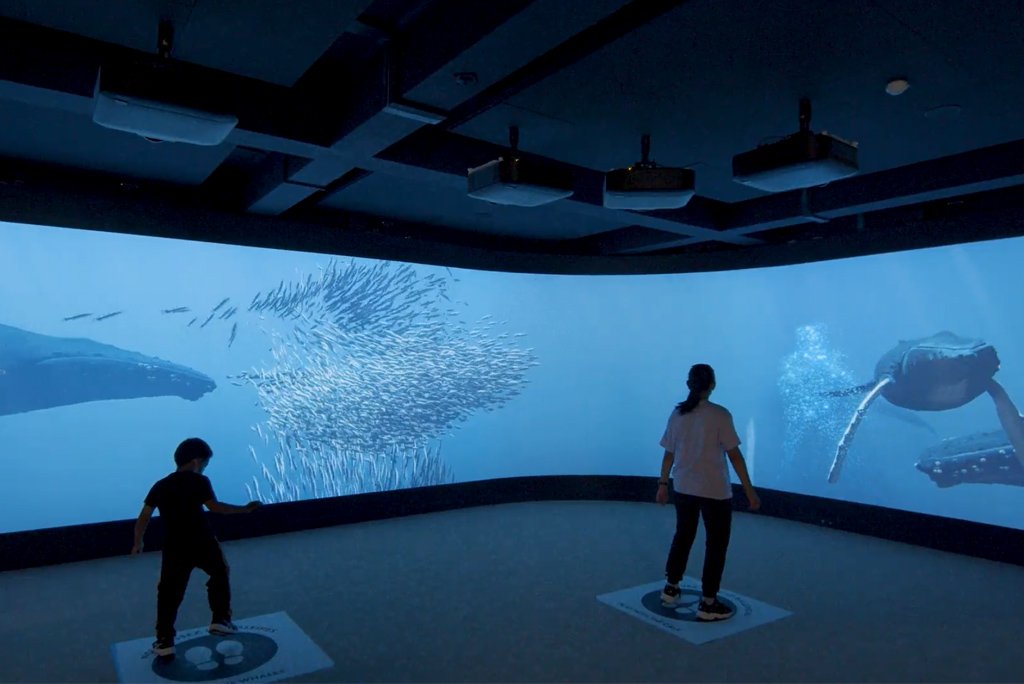 Mégaceta — immersive interactive installation at the Aquarium tropical de Paris
